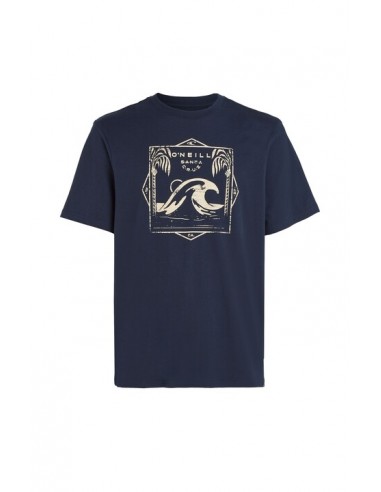 O'NEILL Ανδρικό T-shirt Κοντομάνικο...