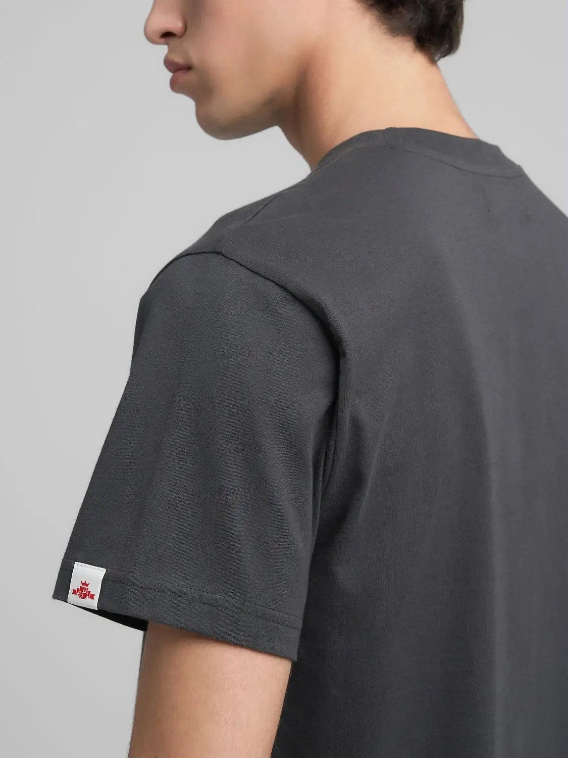 REPLAY Ανδρικό T-Shirt Βαμβάκι Ανθρακί Regular Fit M3200.000.2660-293 IRON 1820266
